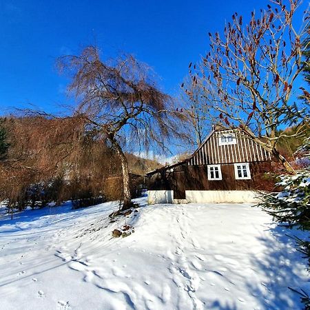 Villa Chaloupka à Žacléř Extérieur photo